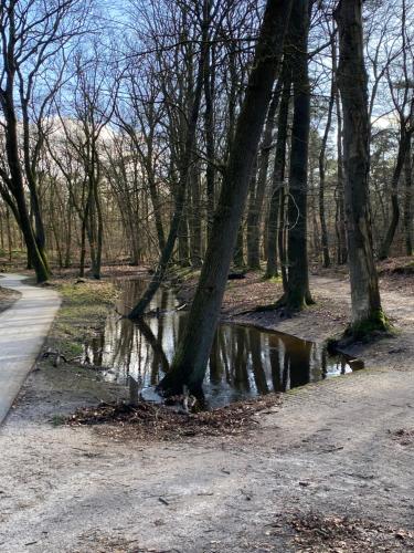 Luxe en gezellig chalet aan Veluwemeer 4 pers