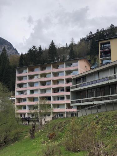 Penthousewohnung Gasteinblick - image 10