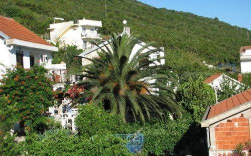 Exterior view, Seaview Apartments in Krasici