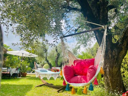 ABEILLE, Vence (foto 7)