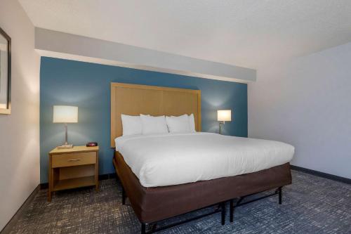 Comfort Inn & Suites Alexandria West