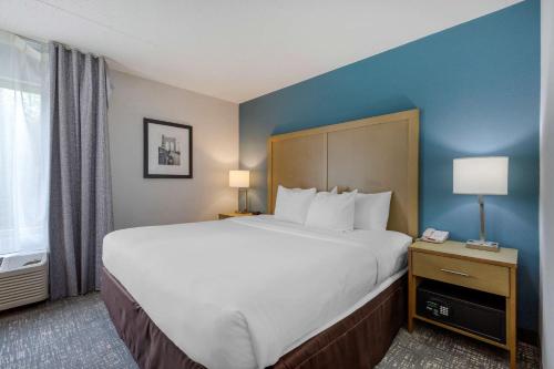 Comfort Inn & Suites Alexandria West