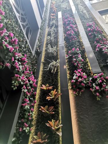 Golden Royal Hotel - image 9