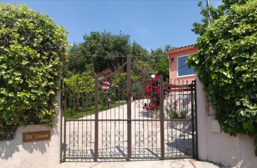 Effi House - image 2