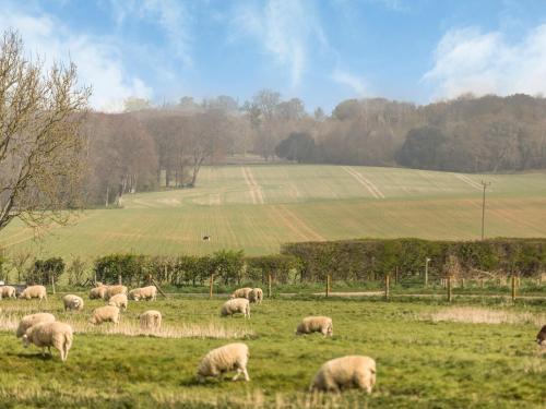 Pass the Keys Charming Country Cottage With Spectacular Views