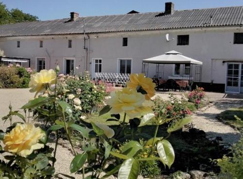 Le Vieux Logis - Chambre d'hôtes - Montreuil-Bellay