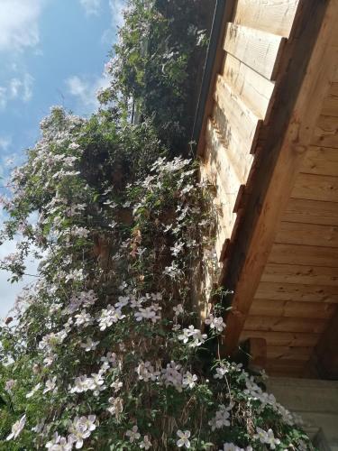 Appartement Seppi