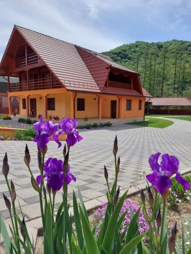 B&B Costești - Cabana Sargetia - Bed and Breakfast Costești