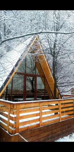 Aroa Mountain 4, Zărneşti