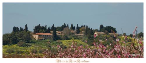 Svarzman suite Svarzman suite