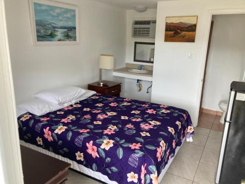 Riviera Motor Lodge - image 3