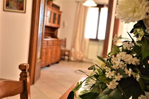 Appartamento Riparbella gîte à louer Riparbella