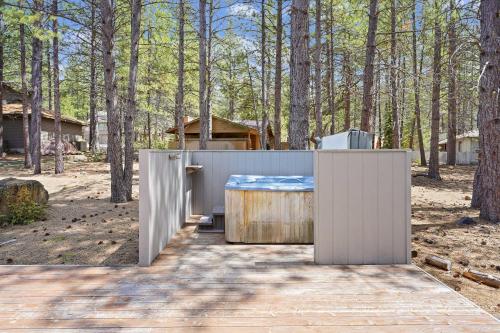 3 Killdeer home - image 9