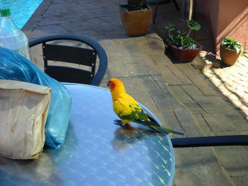 Petra Guest House – Edenvale, PA