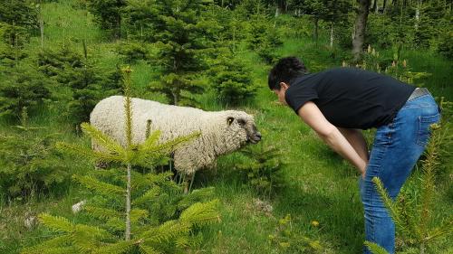Ferienwohnung am Schneeberg