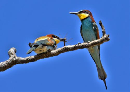 Casa Rural Don Álvaro de Luna - image 9