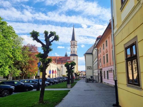 Historical house in the center Levoča with parking