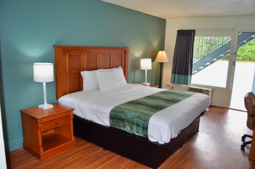 1 king bed