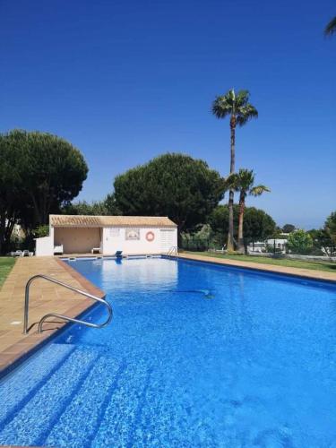 Palm Galé gîte à louer Faro