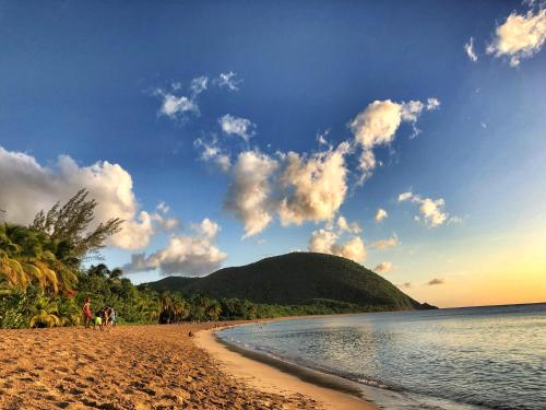 Beach, Villa Corali, vue mer, piscine, Pointe Batterie Deshaies in Deshaies