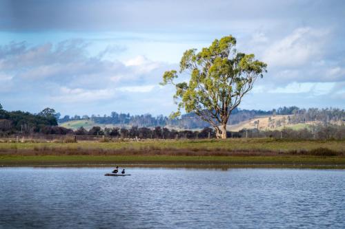 Blackwood Park Cottages Mole Creek Room Type - One-Bedroom Villa