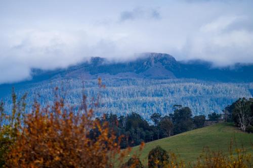 ブラックウッド パーク コテージ