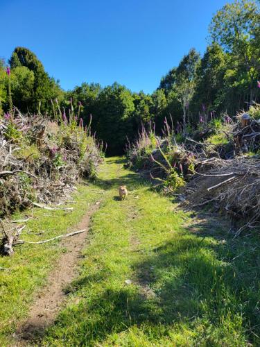 El refugio del Volcan Osorno