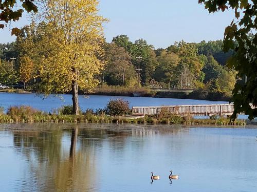 Cozy Quonset Hut On Maple Lake