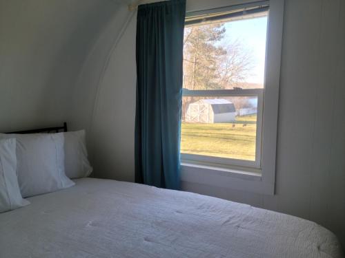 Cozy Quonset Hut On Maple Lake in Paw Paw, USA