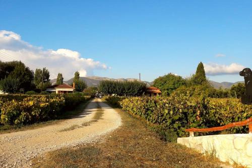 Authentic Country House in Zakynthos - Location saisonnière - Ambelókipoi