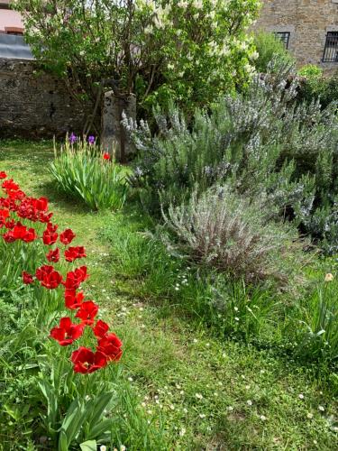 Grands Gîtes de charme avec jardin, lieu calme et paisible en plein coeur d'Arbois, linge inclu, lits faits à l'arrivée et ménage en fin de séjour