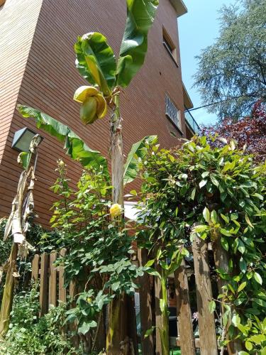A CASA DI GEMMA in San Lazzaro Di Savena