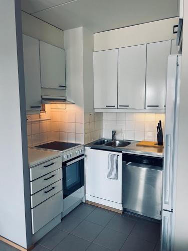 Ruoholahti Apartment with private sauna, Helsinki (foto 4)