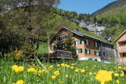 Alps Hoamat Ferienchalet in Mellau, Österreich