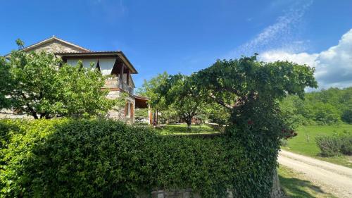 Viesnīcas āriene, Holiday Home Casa Dei Farfui in Momjan