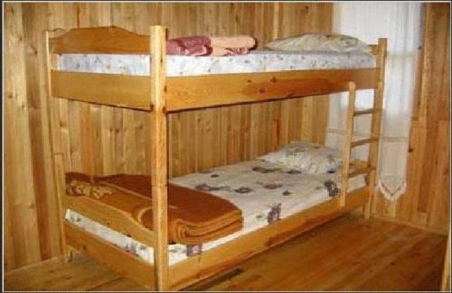 Bayrams Tree Houses - image 5