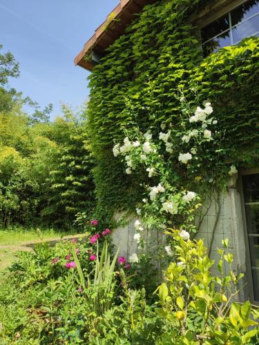 Chambre d'hôtes Le Moulin de Moulis