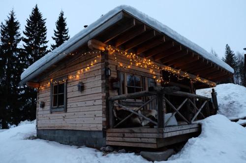 Laplandbike Apartment Arctic Circle in แลพแล็นด์