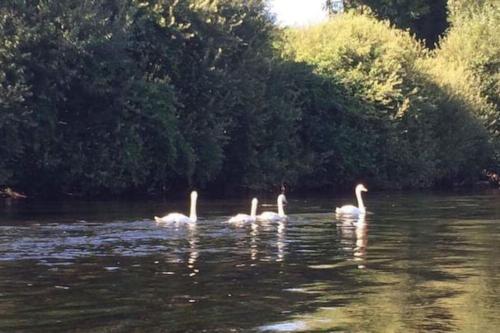 2 Bed apartment on the Dordogne River