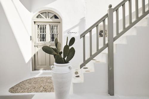 Elaia Luxury Suites Mykonos