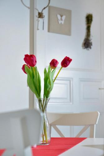 Paris Apartment, Budapešť (fotografie 9)