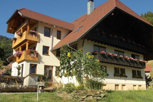 Urlaub auf dem Hänslehof - Apartment - Elzach