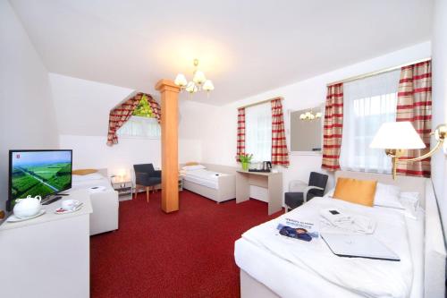 Hotel Hradec - image 8