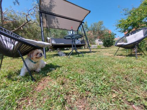  Luce, Unterkunft in Zadar