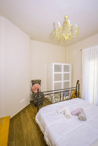 Gorgeous Apartment in the city center