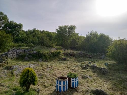 View, Country stone house Kovacevic in Danilovgrad