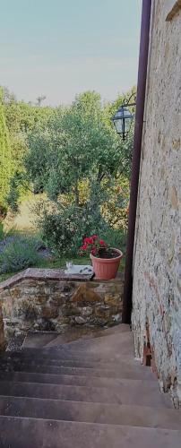 Falesta, Casole dʼElsa (fotografie 4)
