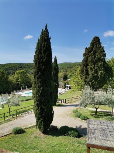 Falesta, Casole dʼElsa (fotografie 6)