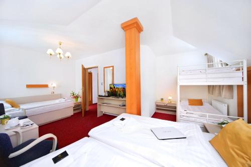 Hotel Hradec - main image