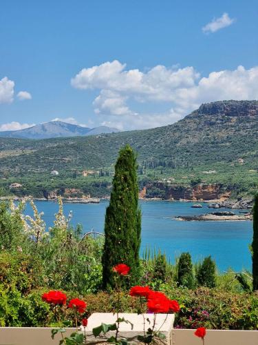 Lighthouse Apartments Lighthouse Apartments